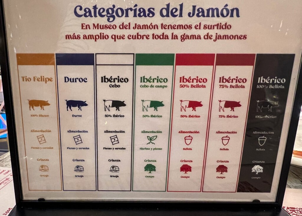 A little Jambón education